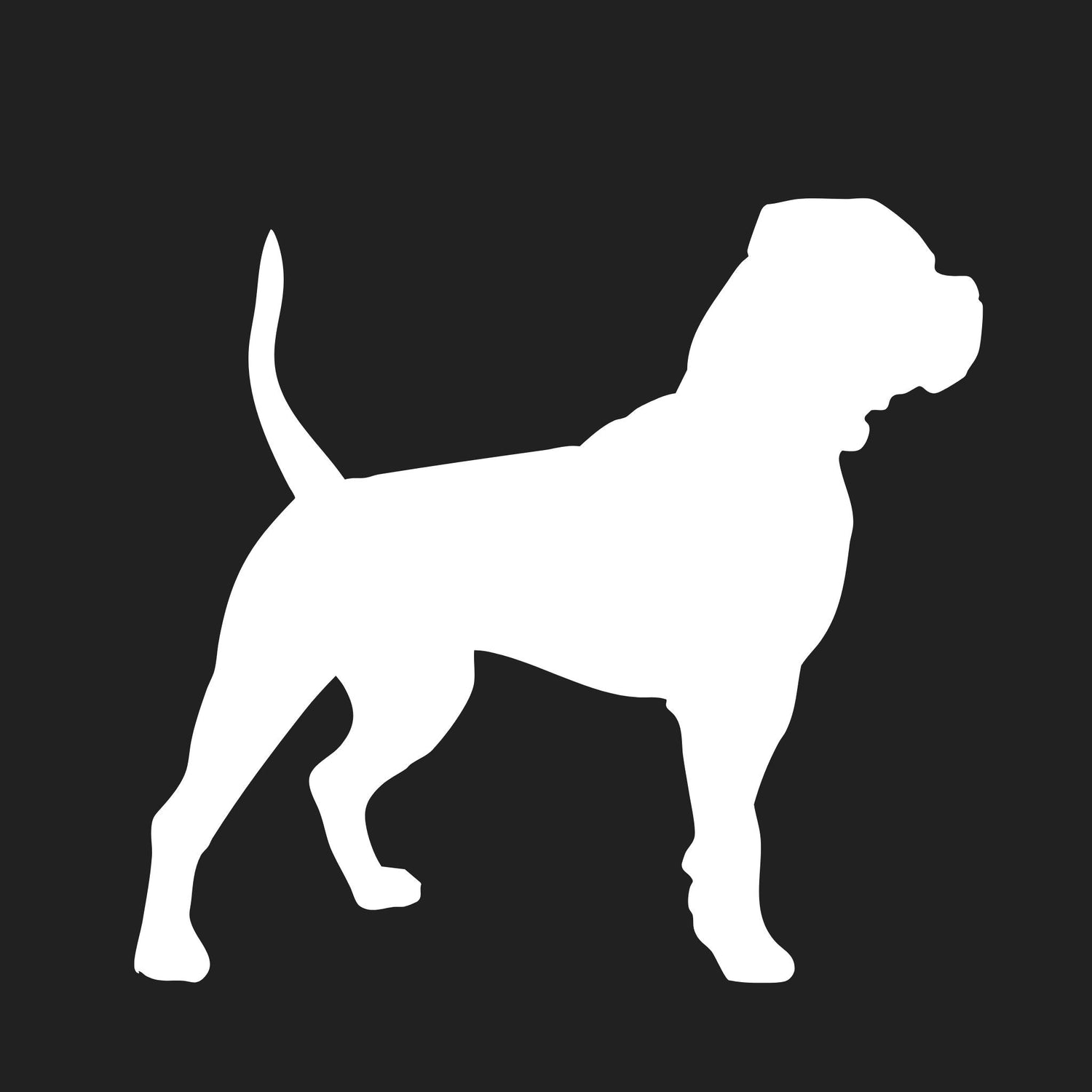 Alapaha Blue Blood Bulldog Collection