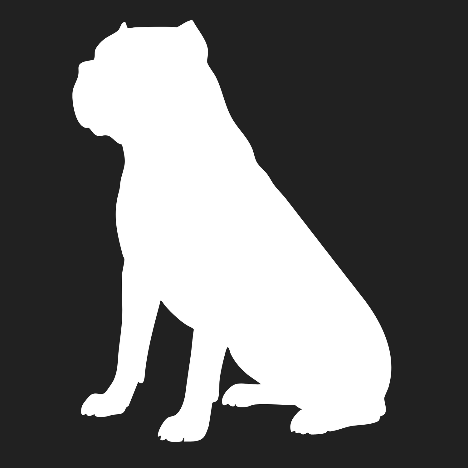 American Bandogge Mastiff Collection