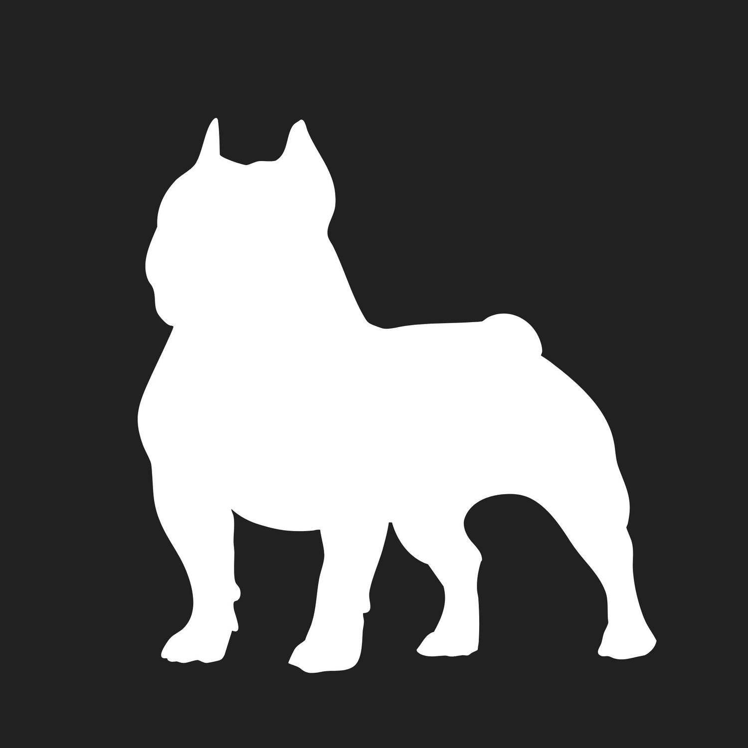 American Bully Standard Collection