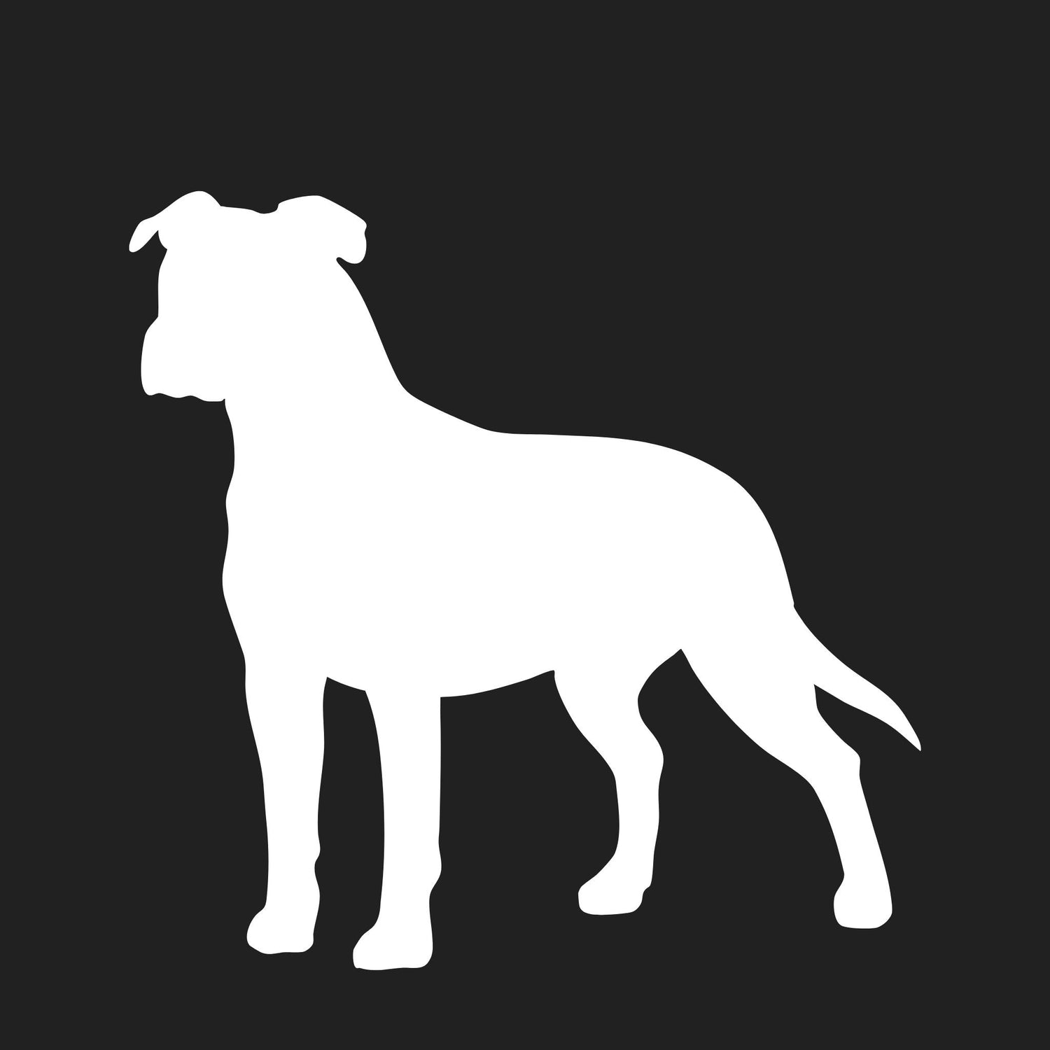American Staffordshire Terrier Collection