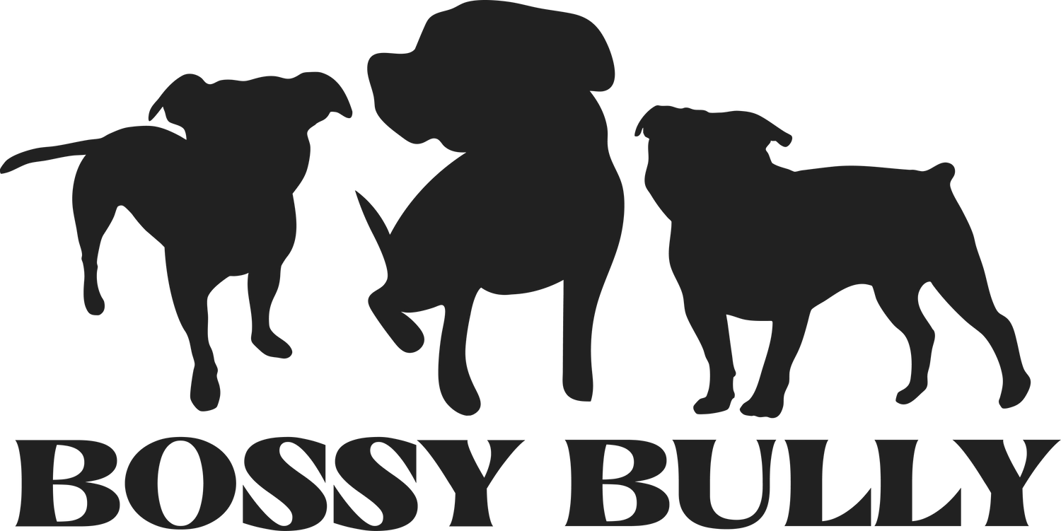 Bossy Bully Originals