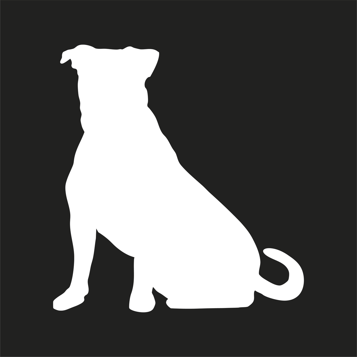 Majorca Mastiff Collection