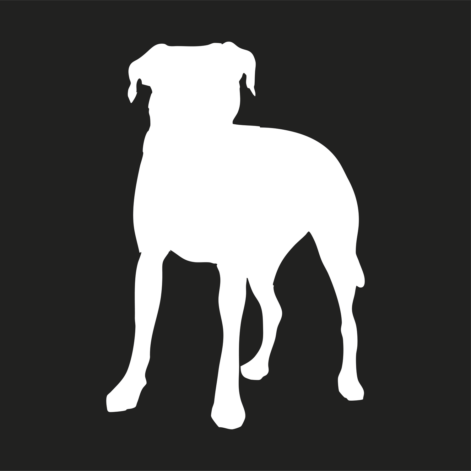 Catahoula Bulldog Collection
