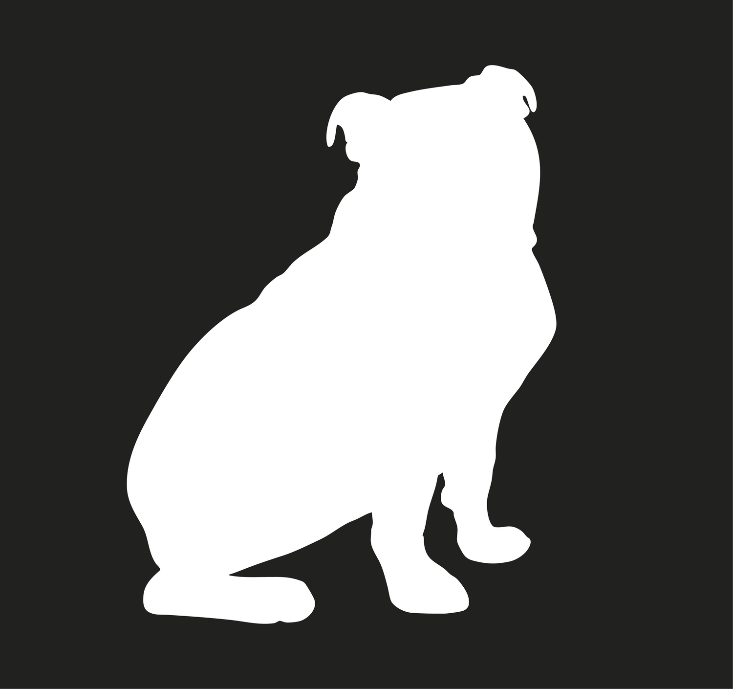 Australian Bulldog Collection