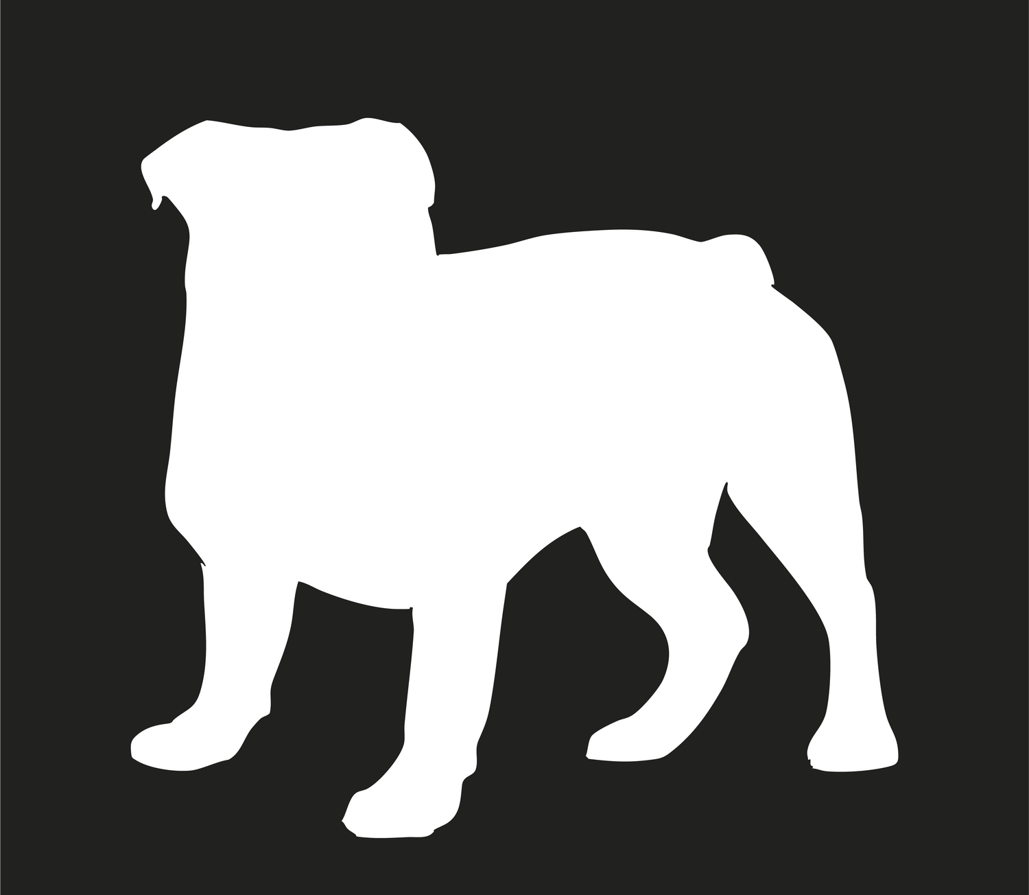 Bantam Bulldog Collection
