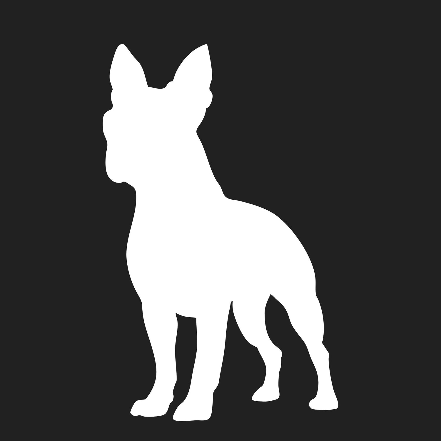 Boston Terrier Collection