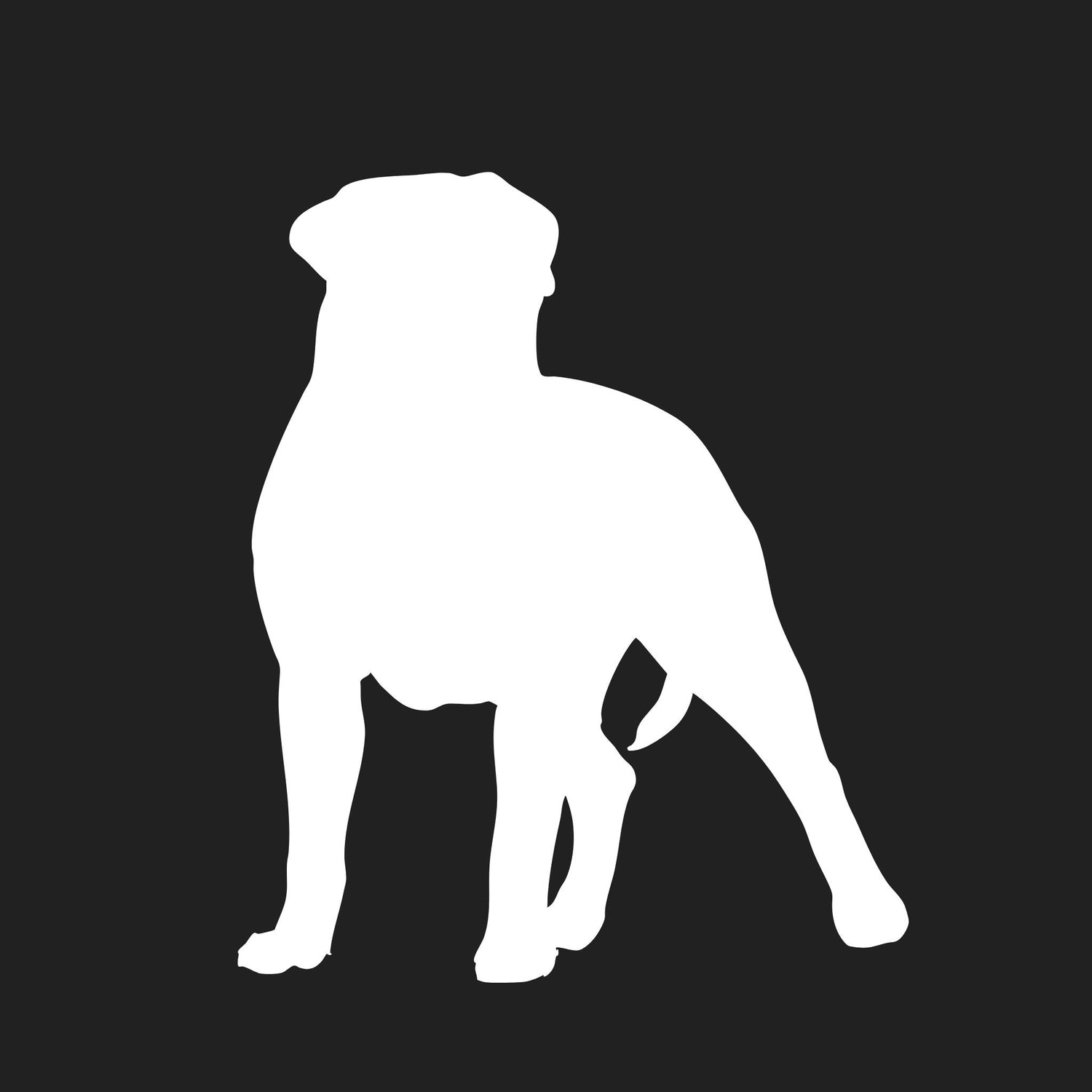 Bullmastiff Collection