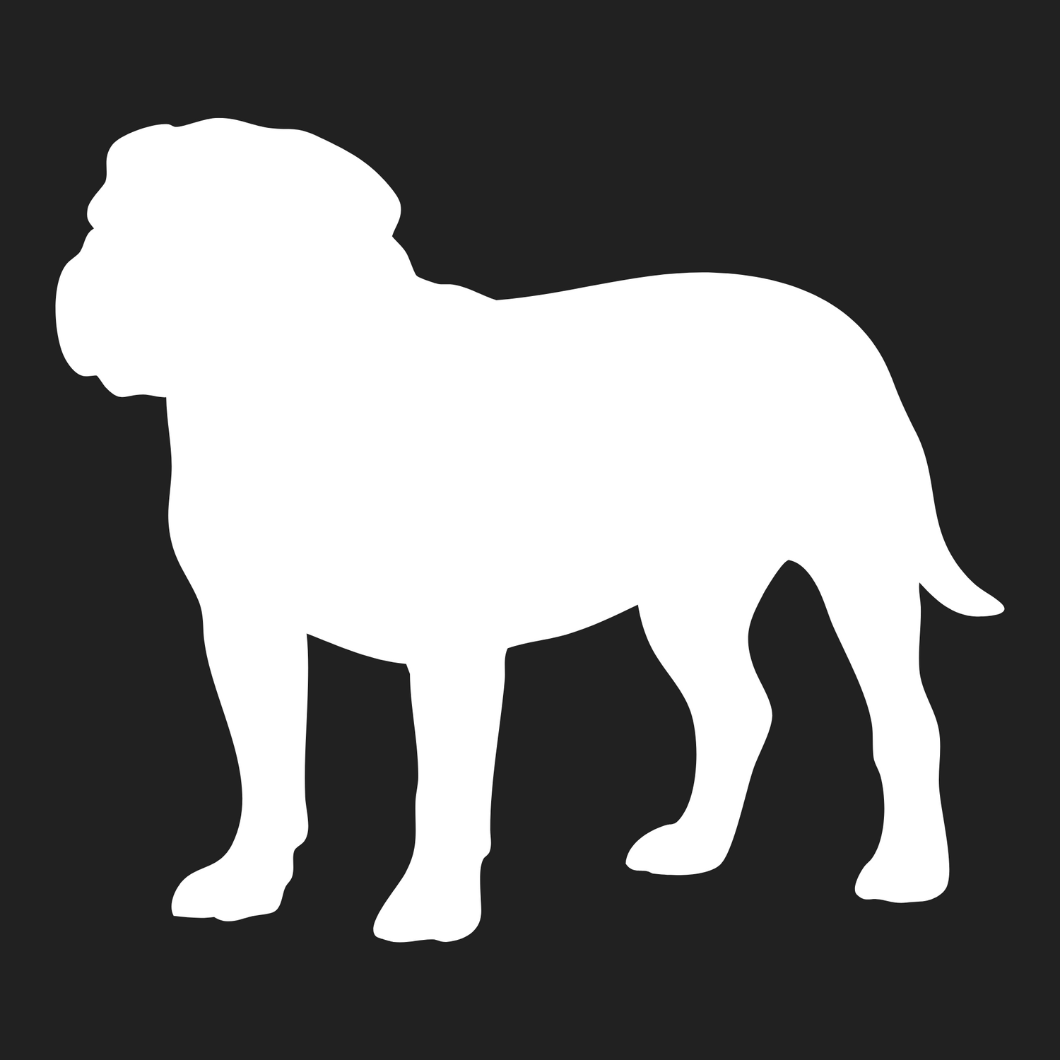 Campeiro Bulldog Collection