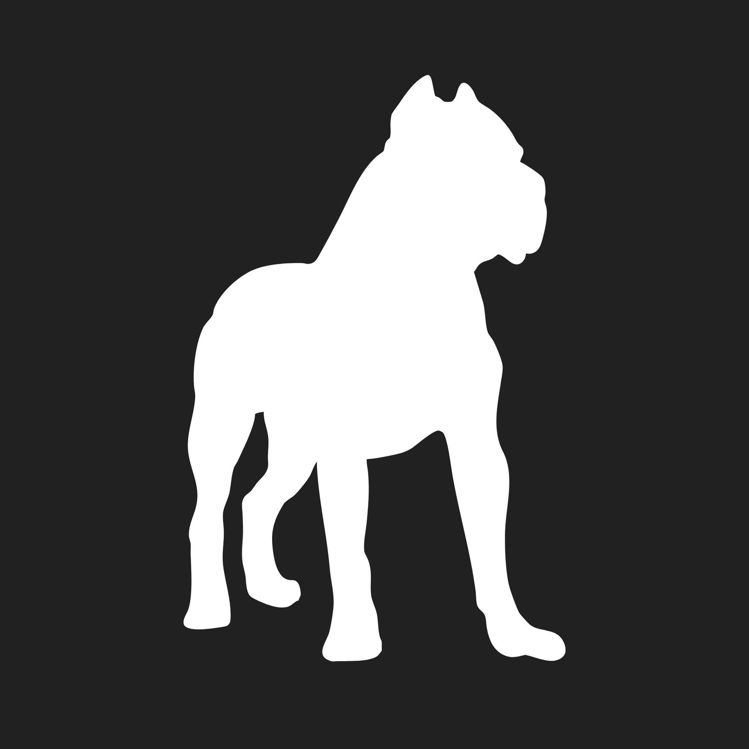 Cane Corso Collection
