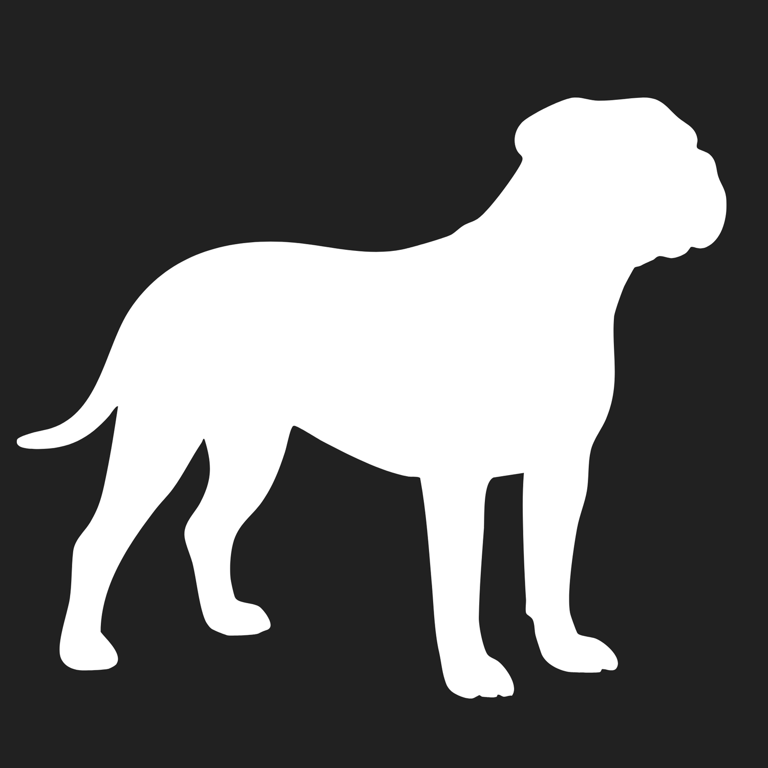 Continental Bulldog Collection