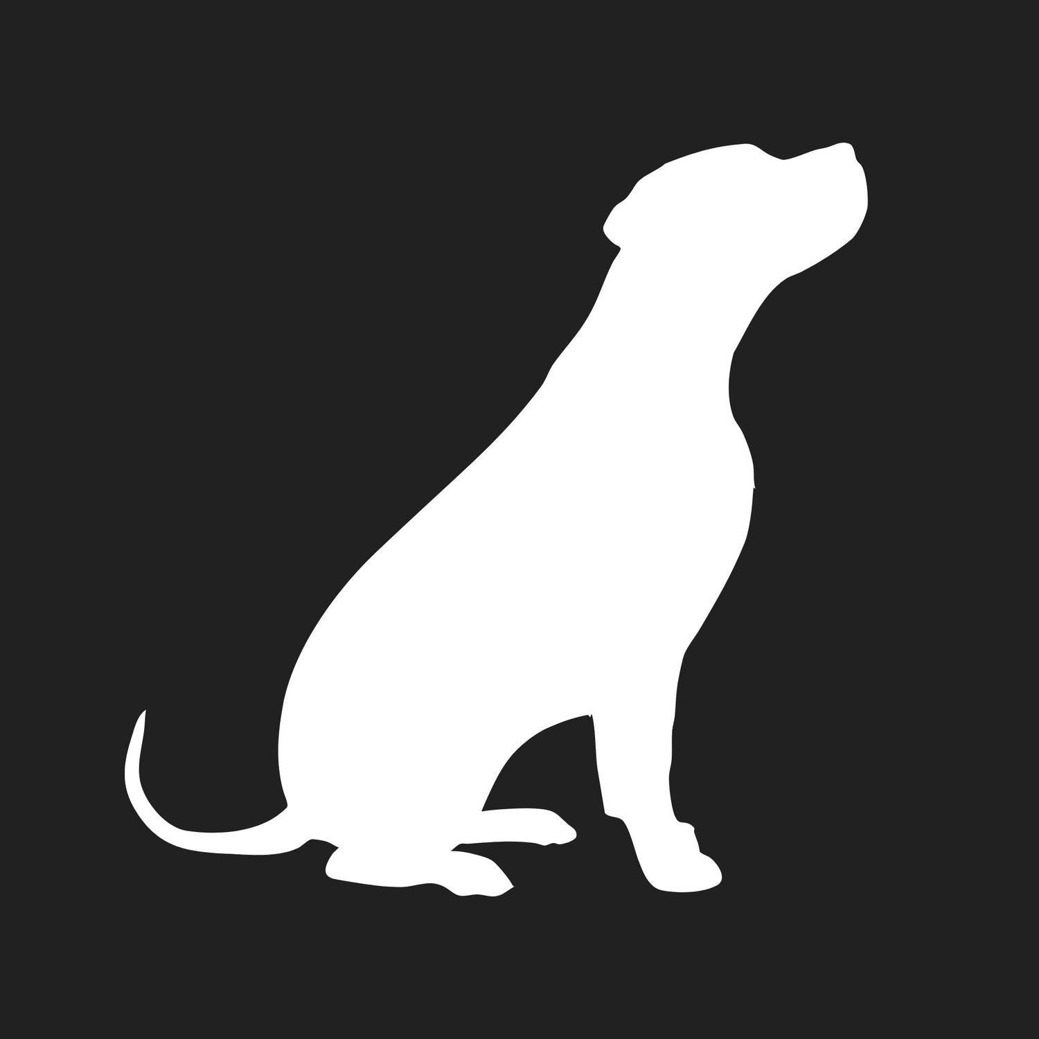 Dogo Argentino Collection