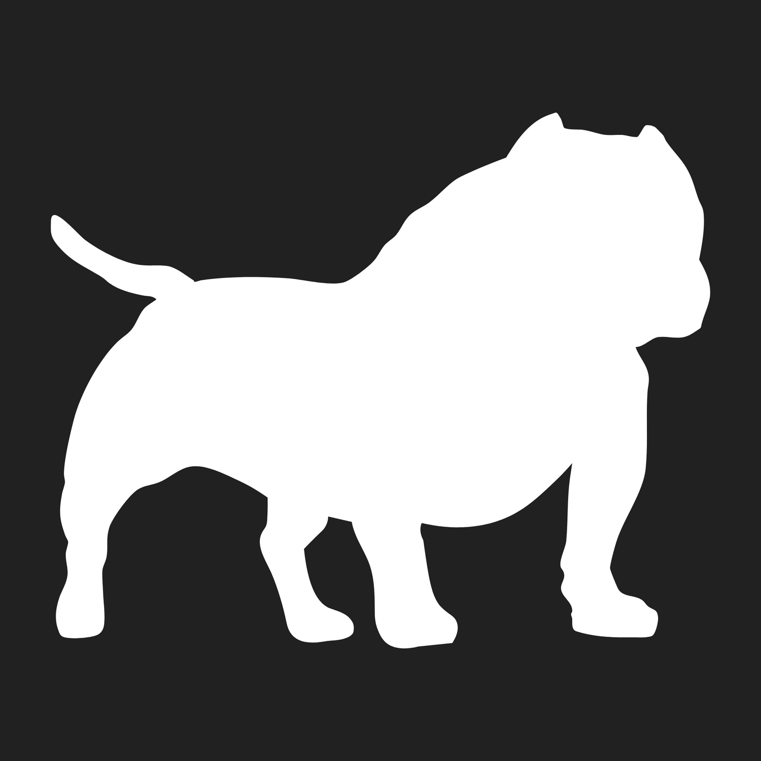 American Bully (Exotic) Collection