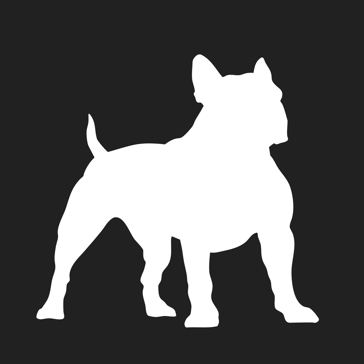 American Bully (Extreme) Collection