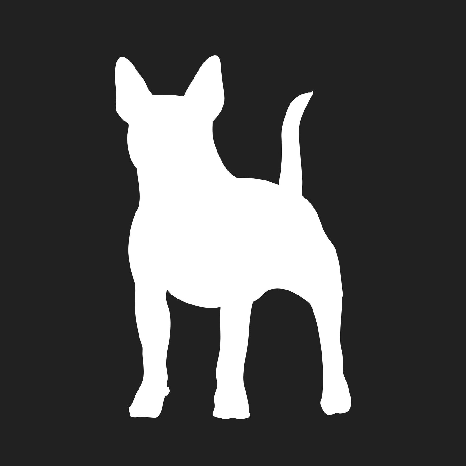 Miniature Bull Terrier Collection
