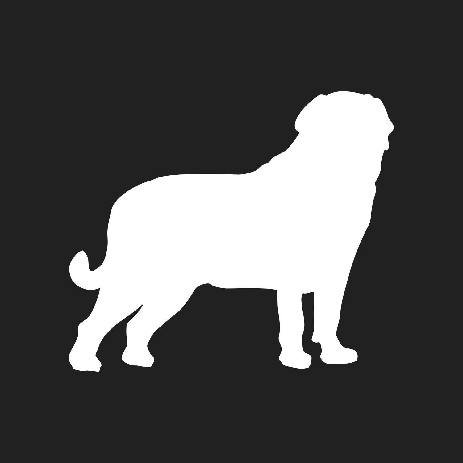 Neapolitan Mastiff Collection