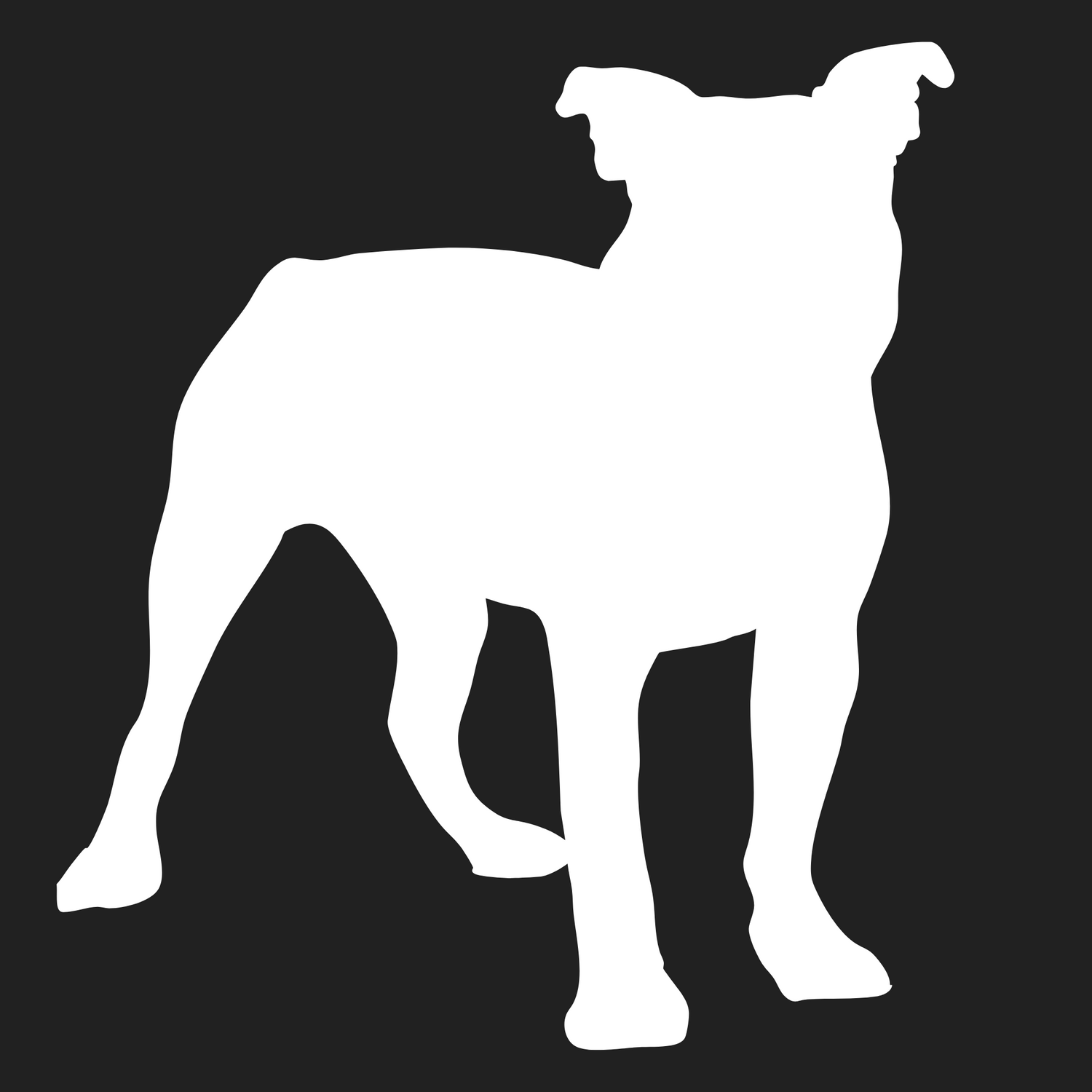 Olde Boston Bulldogge Collection