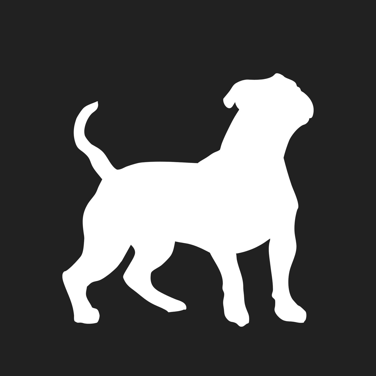 Olde English Bulldogge Collection