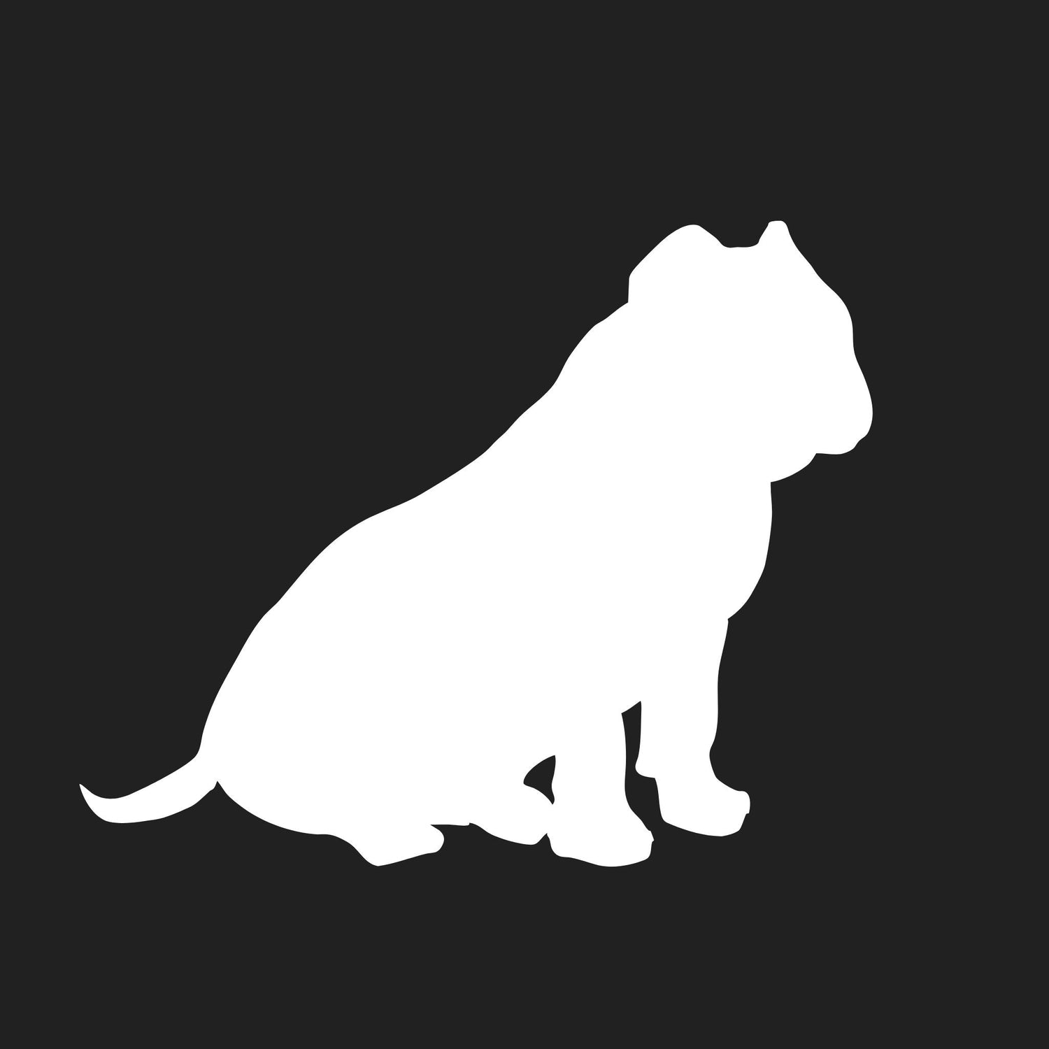 American Pocket Bully Collection