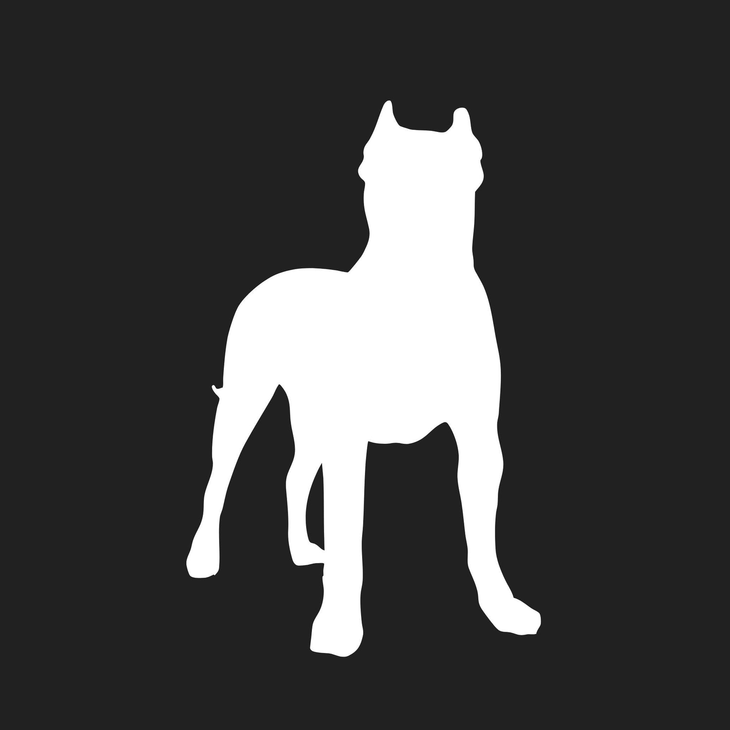 Presa Canario Collection