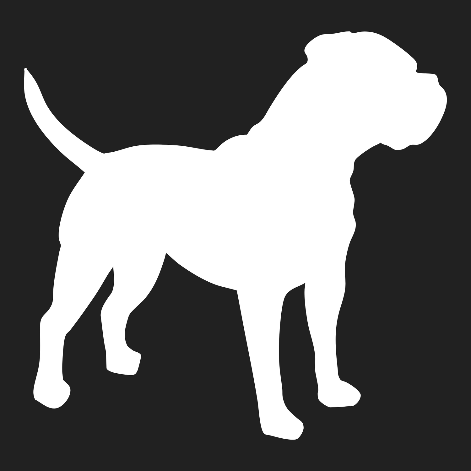 Renascence Bulldogge Collection