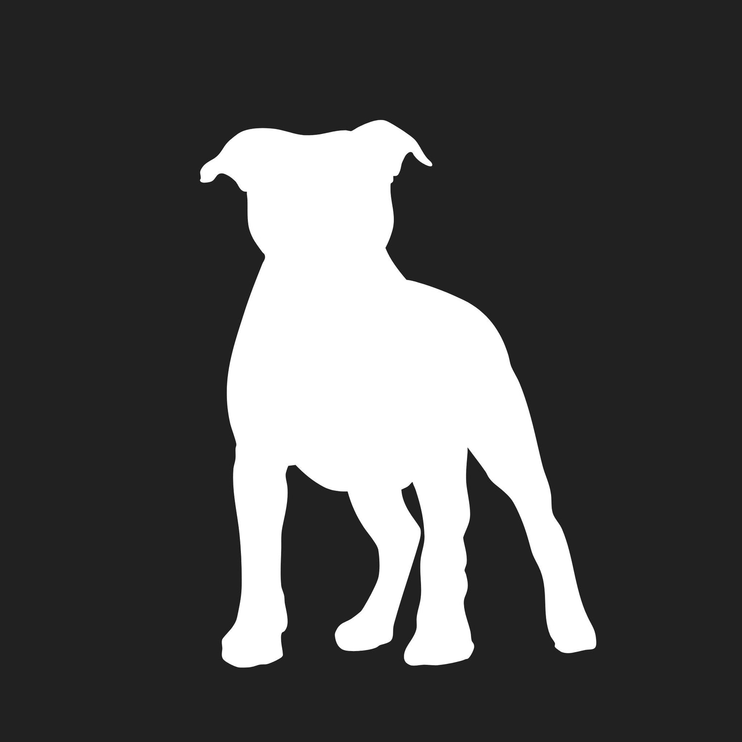 Staffordshire Bull Terrier Collection