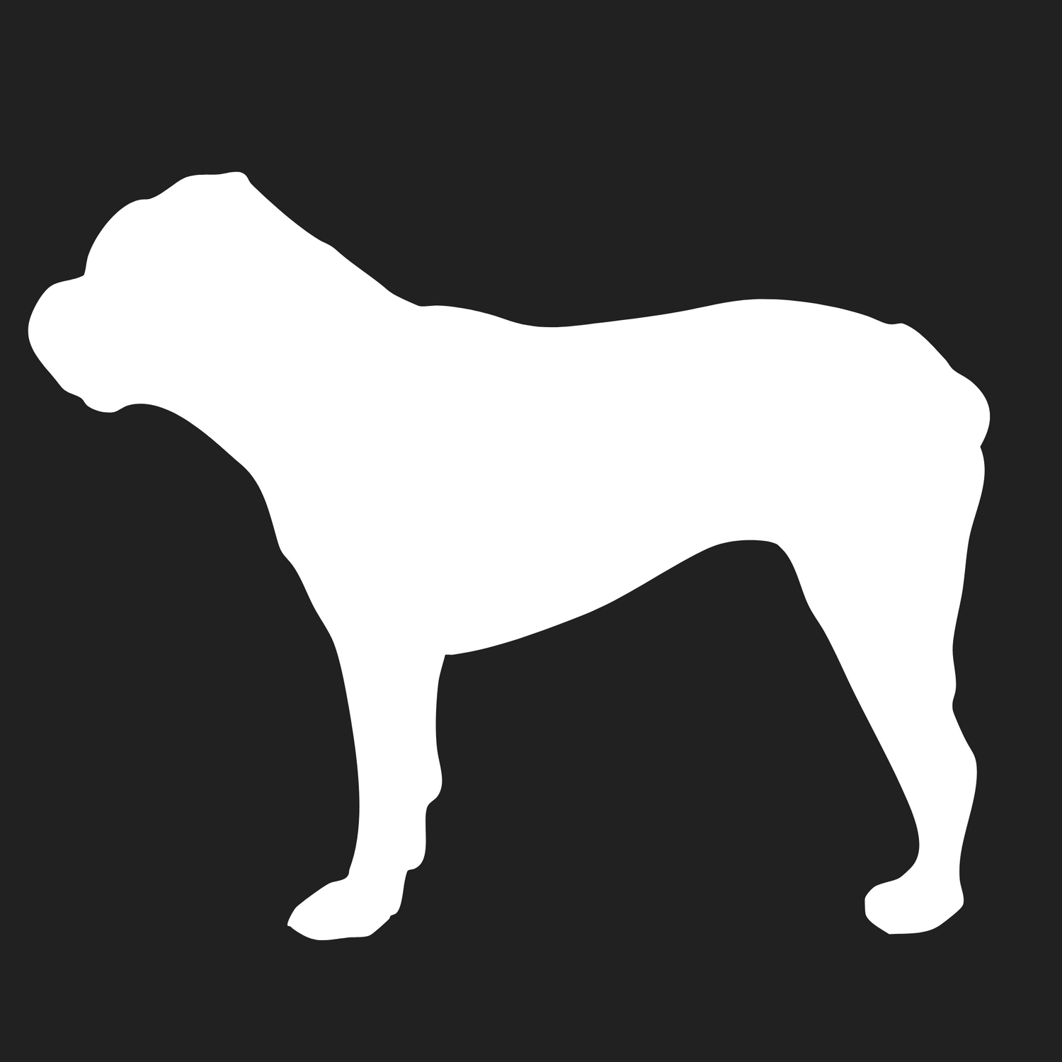 Victorian Bulldog Collection